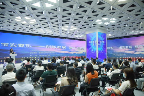 回望寶安2020丨高質(zhì)量發(fā)展邁出新步伐 技術咨詢的引擎作用