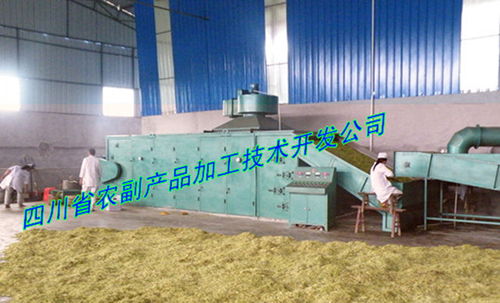 山銀花烘干機 四川省農副產品加工技術開發公司成都分公司為您提供專業高效的技術服務